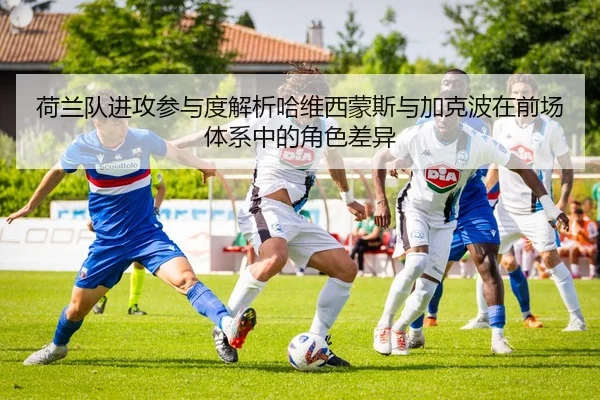 荷兰队进攻参与度解析哈维西蒙斯与加克波在前场体系中的角色差异 - kaiyun